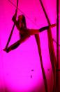 Les Tziganes tombent du ciel 021 * 4368 x 2912 * (4.62MB)